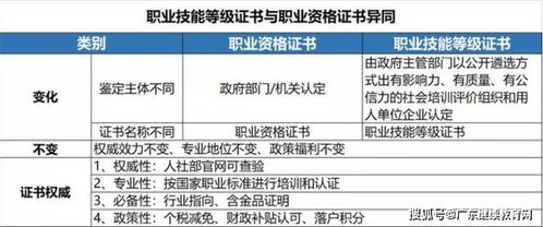 广东省电子商务师职业技能等级证书与国家职业资格证书 异同解析与技术开发应用