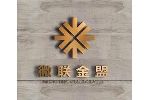 深圳市微联金盟电子商务科技